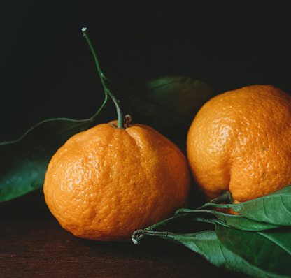Sizilianische Bio-Mandarinen